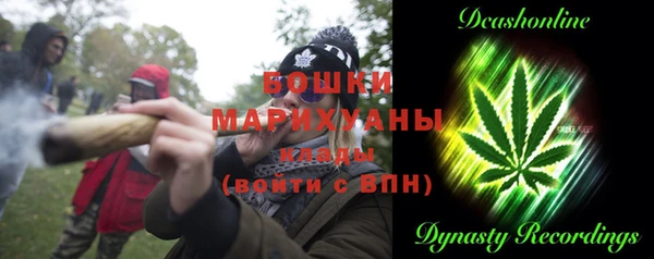мдпв Коряжма