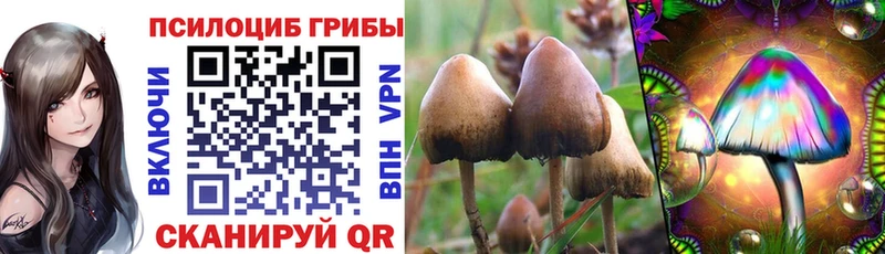 Псилоцибиновые грибы MAGIC MUSHROOMS  Купить где  Старый Крым 